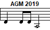 AGM 2019